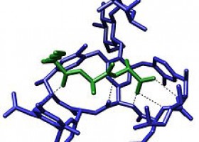 Antibiòtics | Recurso educativo 740356