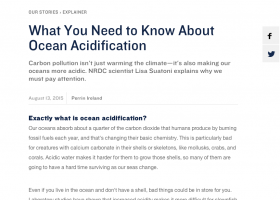 Acid Test: The Global Challenge of Ocean Acidification | Recurso educativo 742999