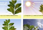 Las Plantas | Recurso educativo 748650