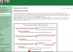 Replicació de l'ADN | Recurso educativo 750107