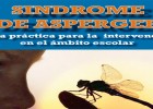 Síndrome de Asperger: Guía práctica para la intervención en el ámbito | Recurso educativo 762942