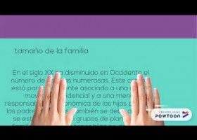 8 Step Instructions | Recurso educativo 769316