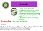 animalia.jpg | Recurso educativo 781288