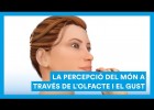 L'olfacte i el gust, i la percepció del món | Recurso educativo 786958